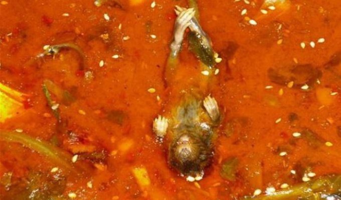 Осторожно, если заказываете суп в Китае (2 фото)