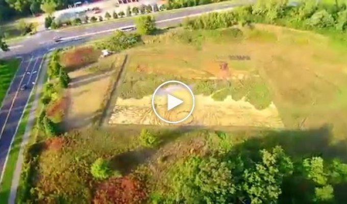 Ландшафтный дизайнер из США превратил поле в репродукцию картины Винсента Ван Гога (5 фото + видео)