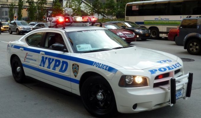 На чем ездит полиция Нью-Йорка (36 фото)