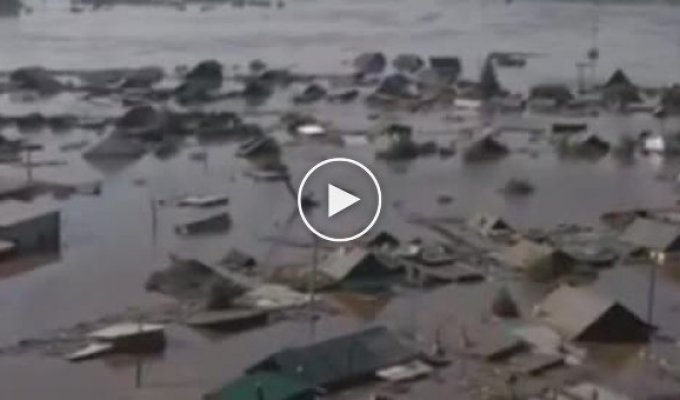 Команда питомника К-9 сняла видео о том, как происходило спасение животных в затопленном Тулуне