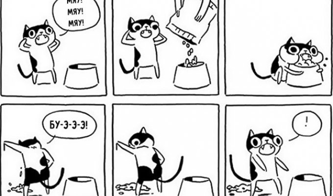 15 комиксов, которые поймут все владельцы кошек (15 фото)