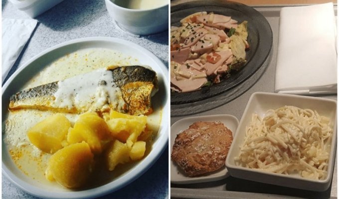 16 примеров того, как выглядит больничная еда в разных странах мира (17 фото)
