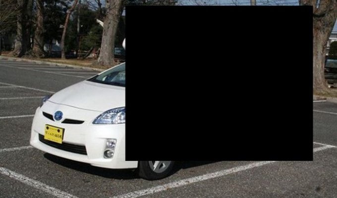 Необычный Toyota Prius для путешествий (13 фото)