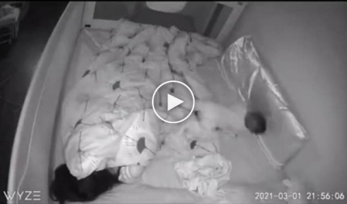 Спать с младенцем в одной кровати - это настоящая милота