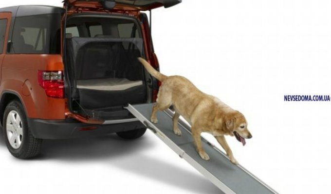 Honda Element 2010 – с заботой о владельцах собак (15 фото)