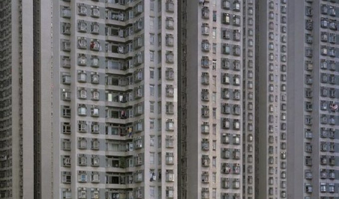 Улей в котором живут Китайцы (66 фото)