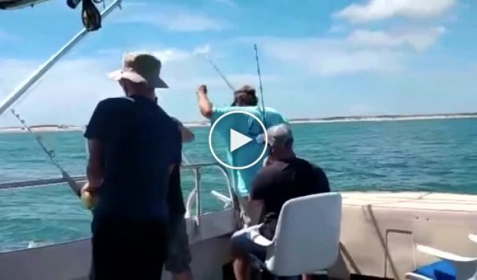Рыбалка - опасное занятие, особенно, когда ловишь акулу