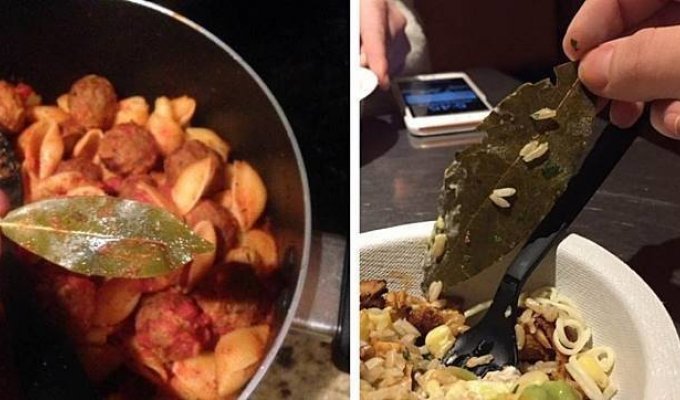 Пользователи Twitter жалуются на ресторан, обнаружив лист неизвестного происхождения (8 фото)