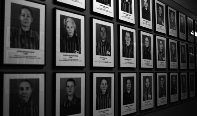 Концентрационный лагерь Освенцим (29 фото)