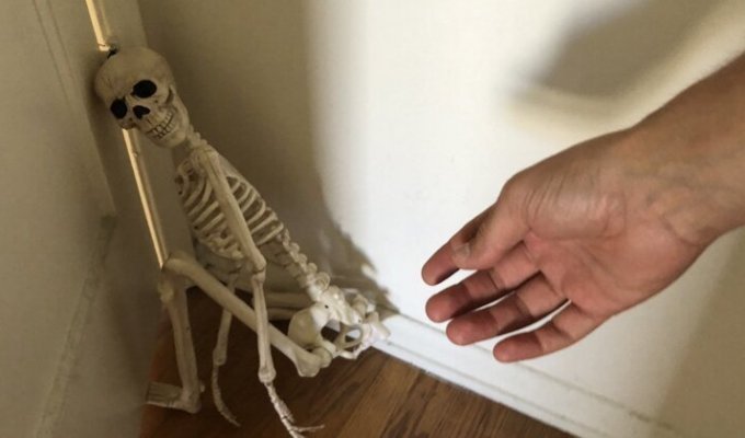 "Он был так напуган, когда мы принесли его домой два дня назад": мужчина "спас" брошенный скелет (11 фото)