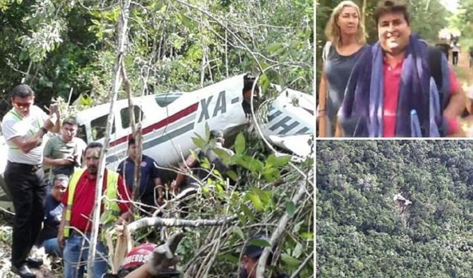 Британские туристы чудом избежали смерти, потерпев крушение в джунглях (9 фото)