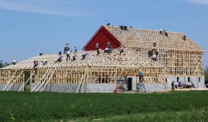 Продуктивные амиши строят сарай (6 фото + 2 видео)