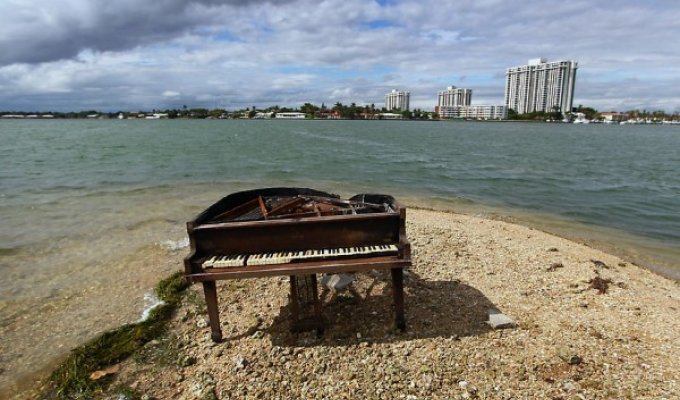 Рояль на отмели в заливе Майами (9 фото)