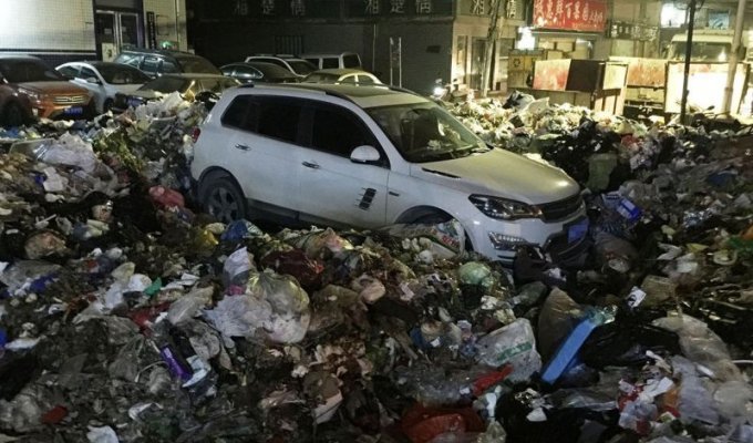 Автомобиль, преградивший въезд мусорщиками, завалили 10 тоннами мусора (6 фото)