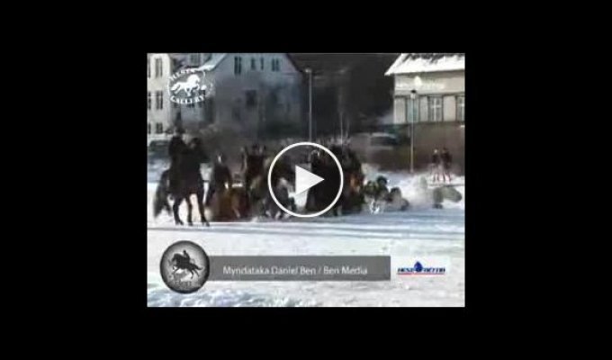 Лошадки которые провалились под лед