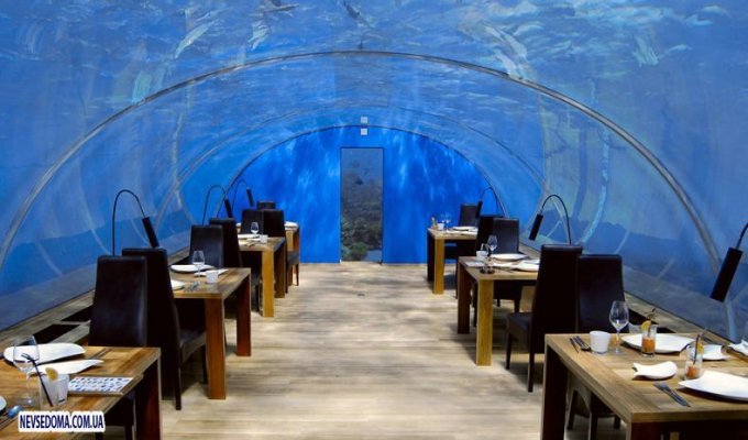  Подводный ресторан на Мальдивах (28 фото)