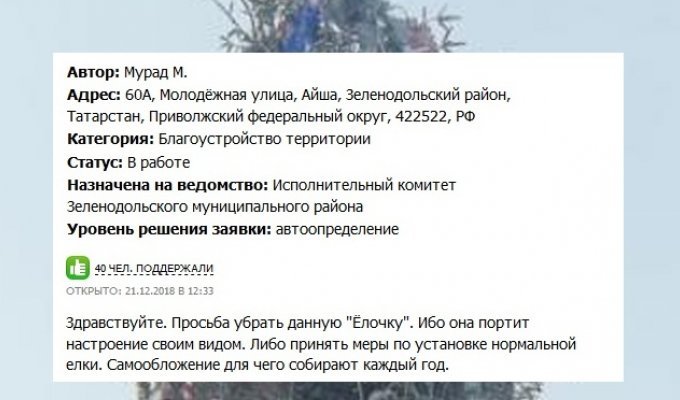 Жители поселка в Татарстане потребовали убрать наряженную к праздникам елку (2 фото)