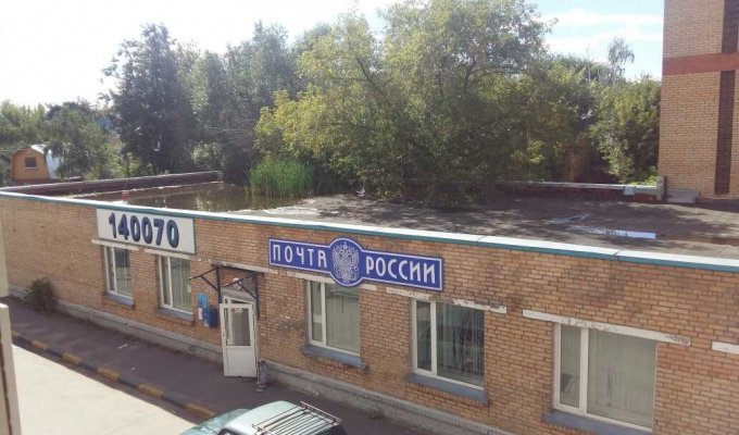 Небольшое болото на крыше почты России (2 фото)