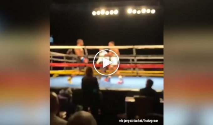 Двойной нокдаун во время боксерского поединка