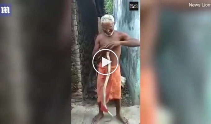 Индиец засовывает голову кобры себе в рот