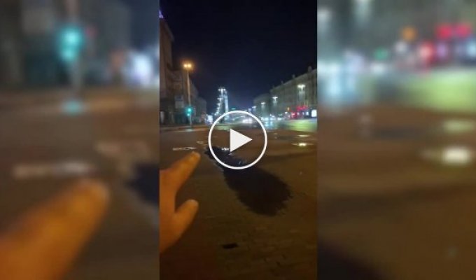 Нерадивый бобр с нарушением всех правил переходил проспект в центре Минска
