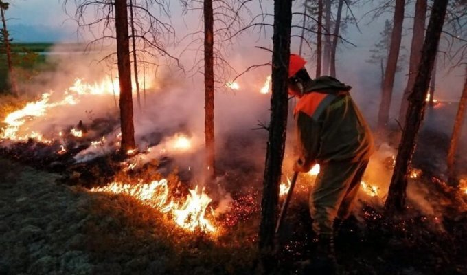 Глава Росгидромета посоветовал адаптироваться к лесным пожарам (1 фото)