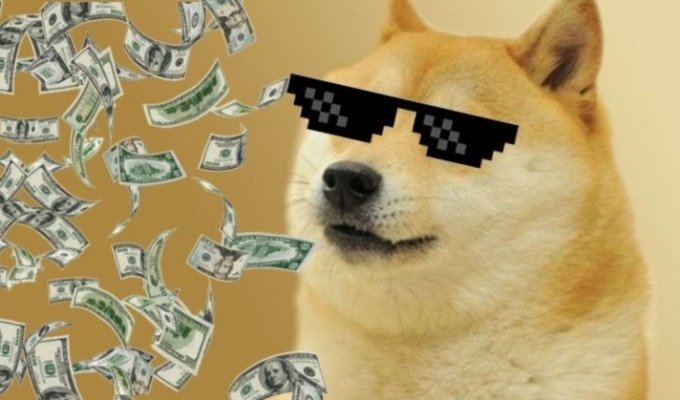 Знаменитый интернет-мем с изображением собаки сиба-ину продан за $4 млн (3 фото)