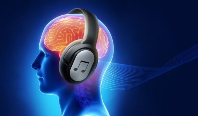 Влияние музыки на человеческий мозг (1 фото)