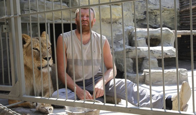 Украинский художник закрылся в клетке с беременной львицей (12 фото)