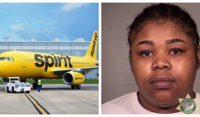 Не выдержала: женщина избила мать детей, которые изводили её в самолёте (3 фото)