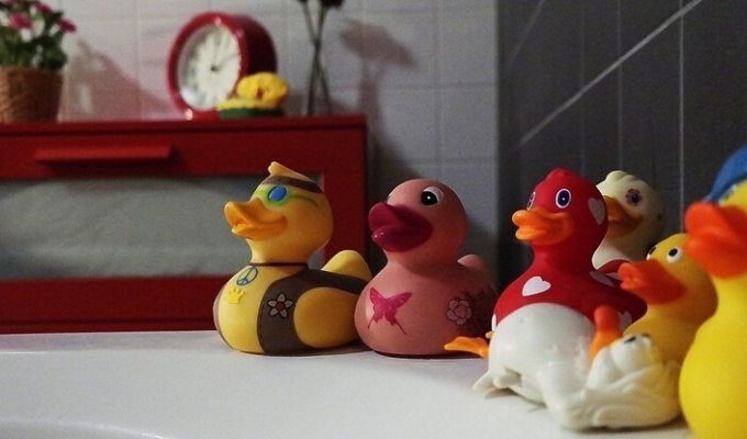 Как выглядят игрушки для ванны изнутри (2 фото)