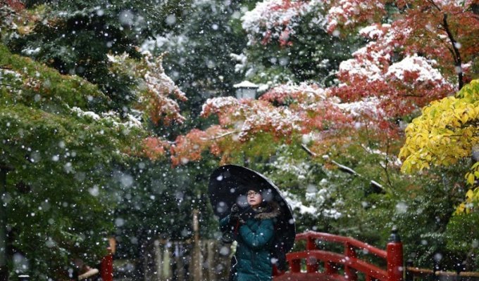 Впервые за 54 года снег в ноябре в Токио (17 фото)