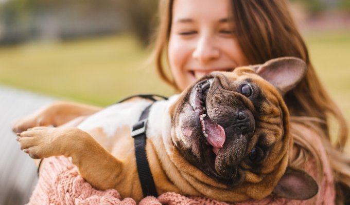 10 доказательств о пользе собак от ученных