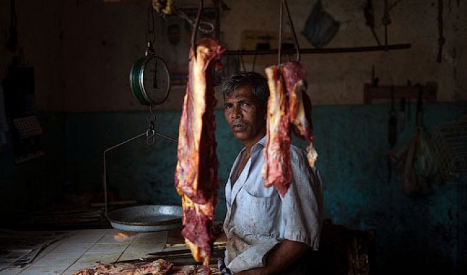 Рынки, Шри-Ланка (28 фото)