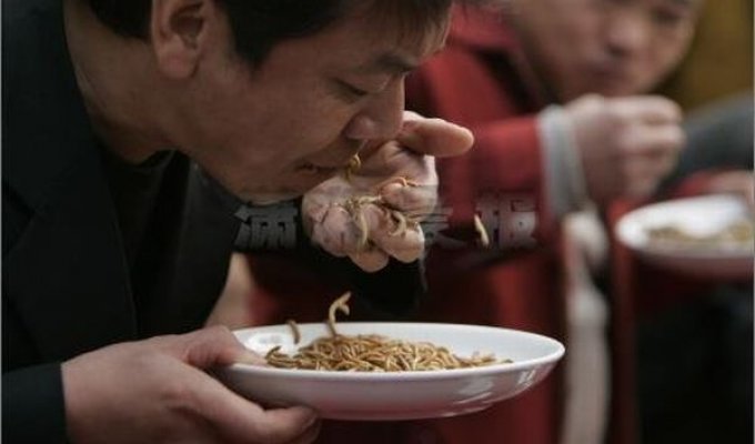  Поедание червей в Китае (13 Фото)