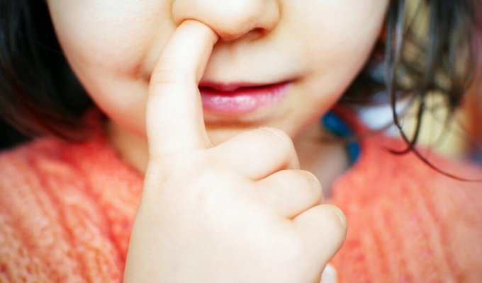Учёные предупреждают: ковыряние в носу может привести к слабоумию (3 фото)