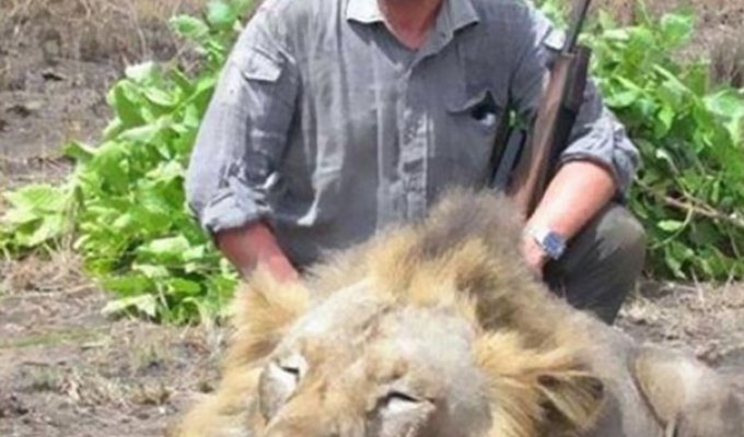 Ветеринар-убийца погиб на охоте (3 фото)