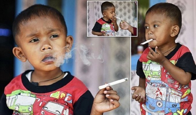Двухлетний курильщик не хочет расставаться с вредной привычкой (8 фото + 1 видео)