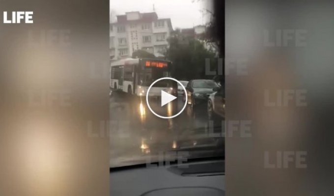 В Сочи женщина-таксист напала на автобус, не поделив с ним дорогу