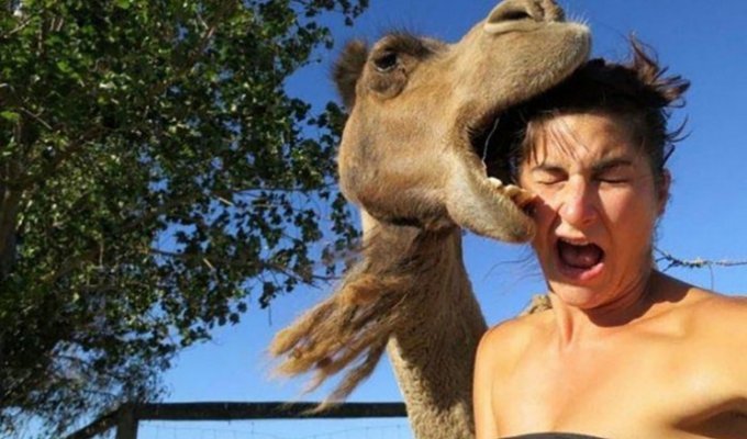 25 смешных доказательств того, что животные ненавидят женщин