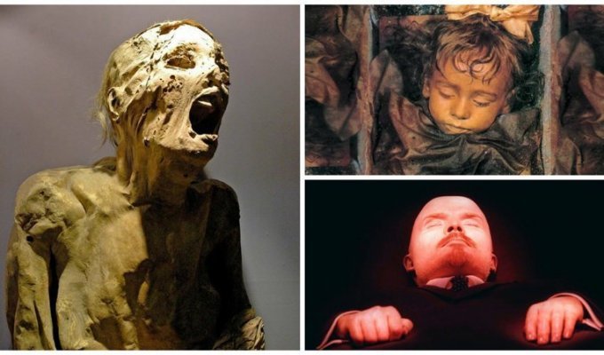 Самые известные мумии, и самые загадочные истории (26 фото + 1 видео)