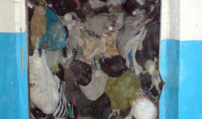  Самая грязная квартира (5 фото)