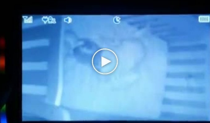 Видеоняня засняла, как нечто невидимое тянет спящего ребенка за ногу
