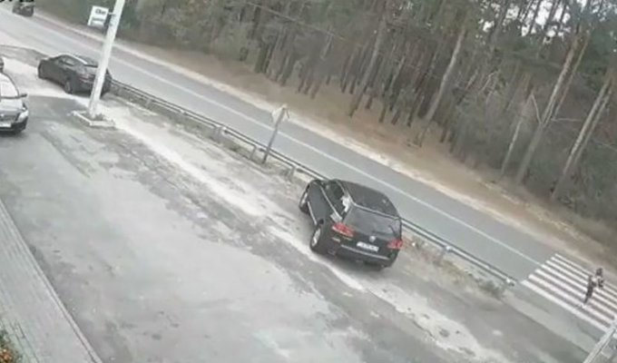 Водитель сбил ребенка на пешеходном переходе (2 фото + 1 видео)