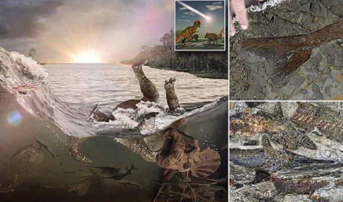 Ученые обнаружили кладбище Юрского периода (7 фото)
