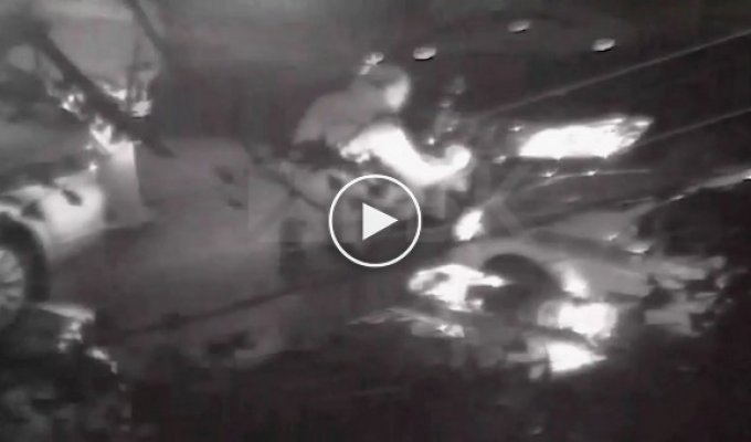Видео скручивания номеров АМР со сбившего полицейского Mercedes при полицейских