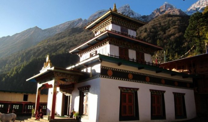 Буддистский монастырь Ribum Monastery, Непал (26 фото)