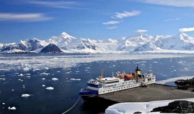 Жаркие споры в Антарктиде (2 фото)