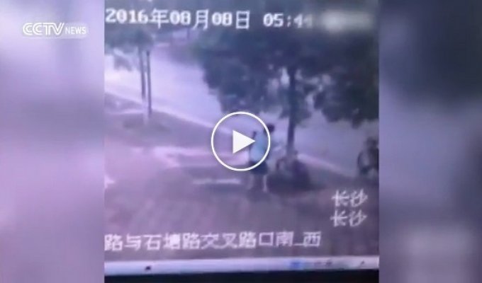 Китаец спилил дерево, чтобы украсть велосипед 
