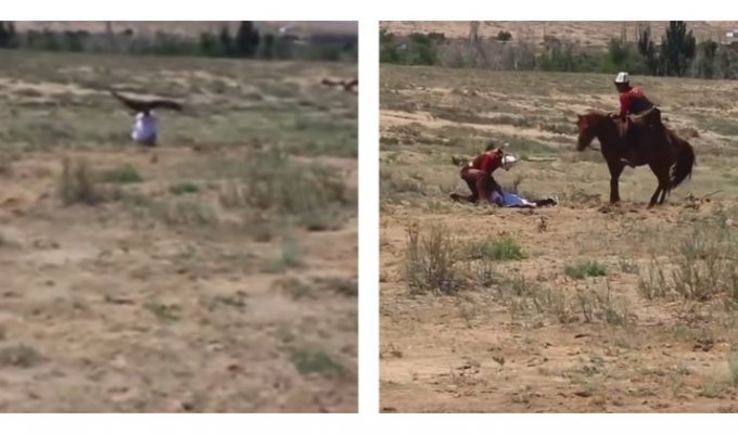 В Киргизии беркут атаковал ребенка (5 фото + 1 видео)